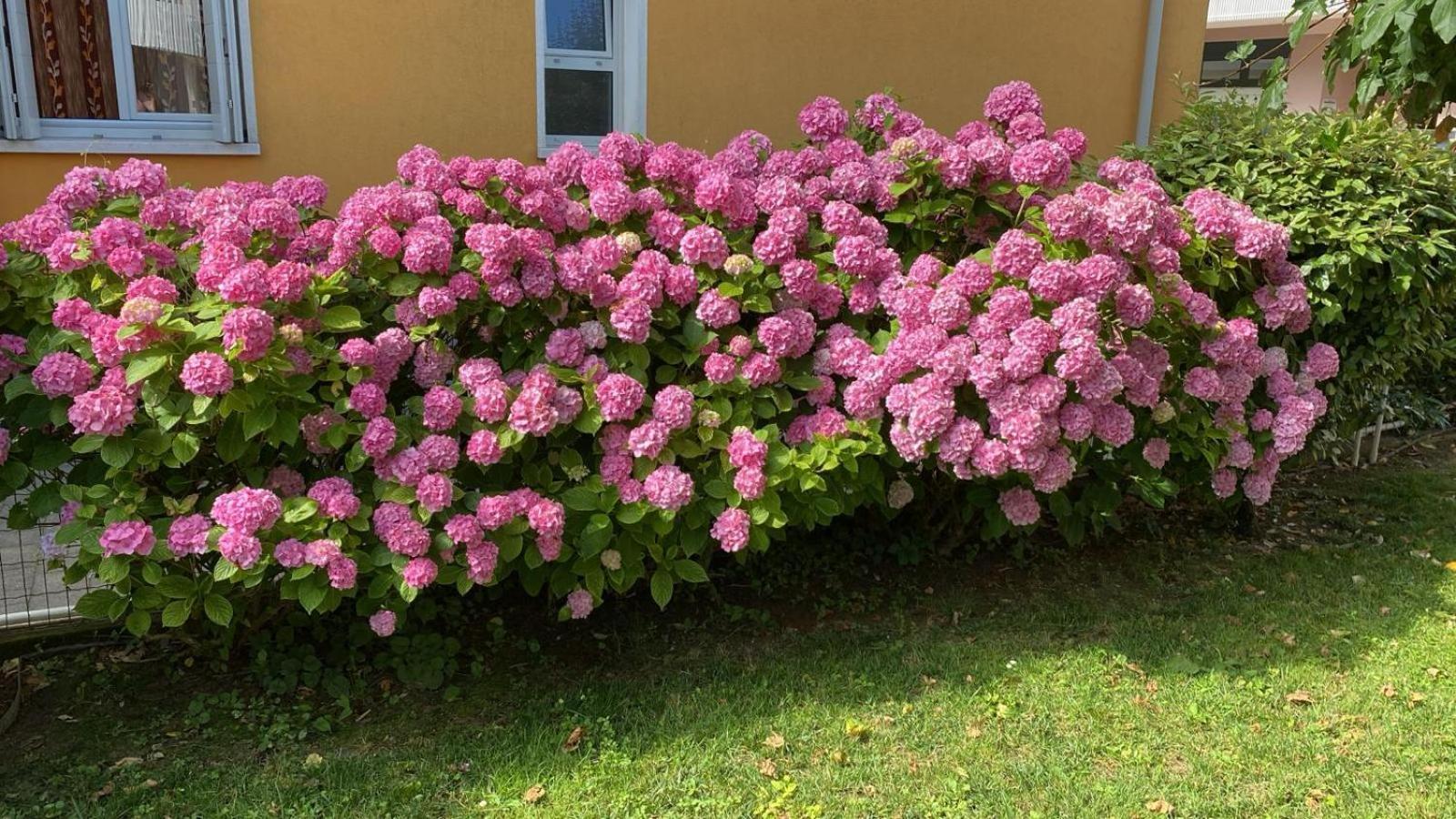 Ferienwohnung Residenza Viel Bibione Exterior foto